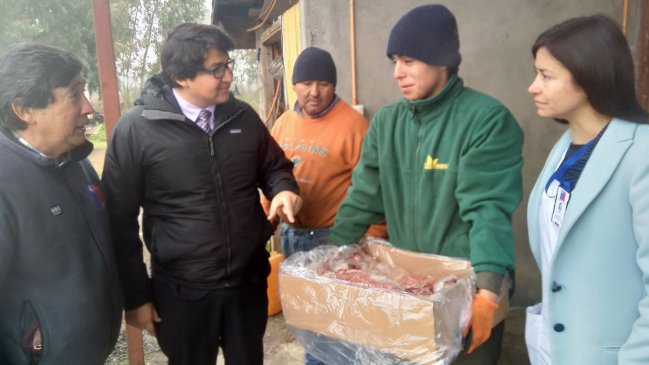 Ñuble: Decomisaron dos toneladas de carne brasileña vencida en Bulnes