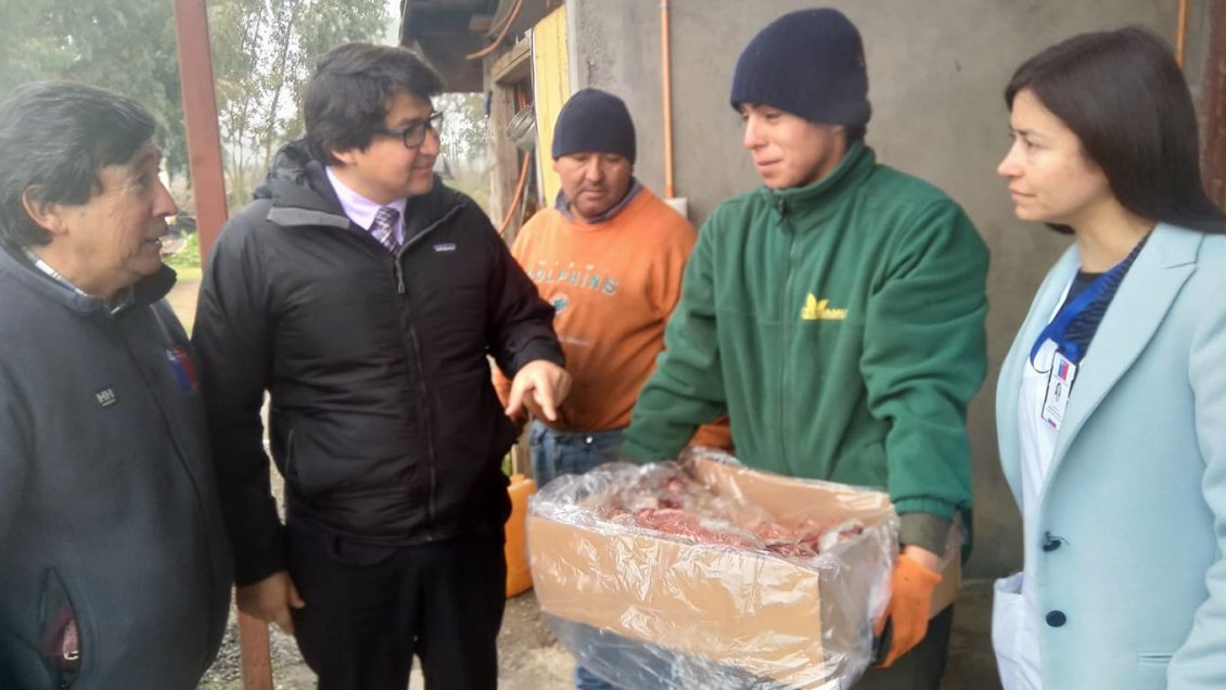 Ñuble: Decomisaron dos toneladas de carne brasileña vencida en Bulnes