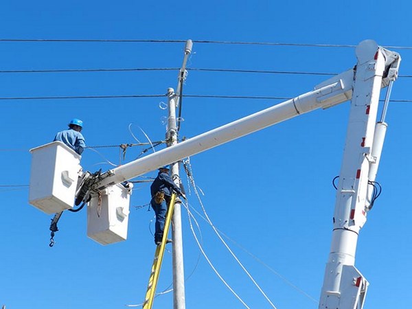 Presentarán demanda colectiva por cortes de energía eléctrica en La Araucanía
