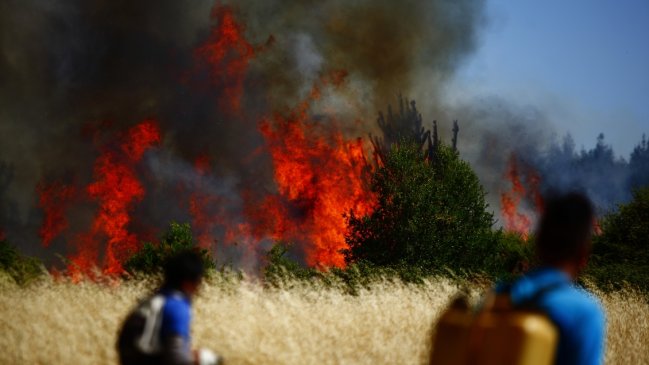 FNE acusó colusión entre empresas de combate y extinción de incendios forestales