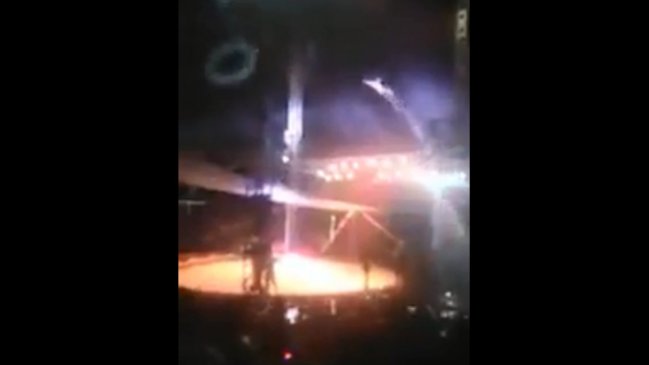 Seremi fiscalizará circo donde 