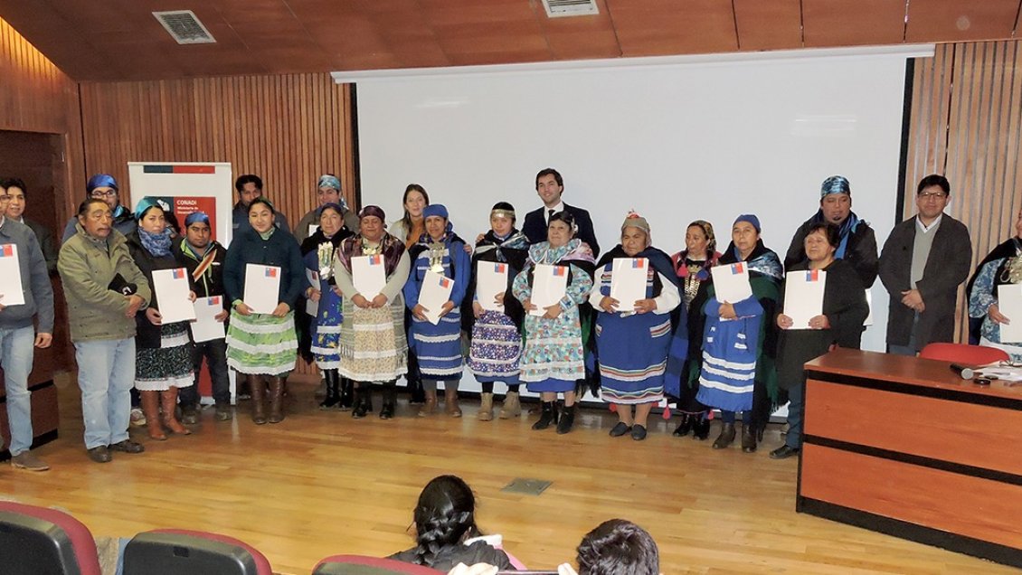 Machis y lonkos mapuches reciben financiamiento para medicina ancestral