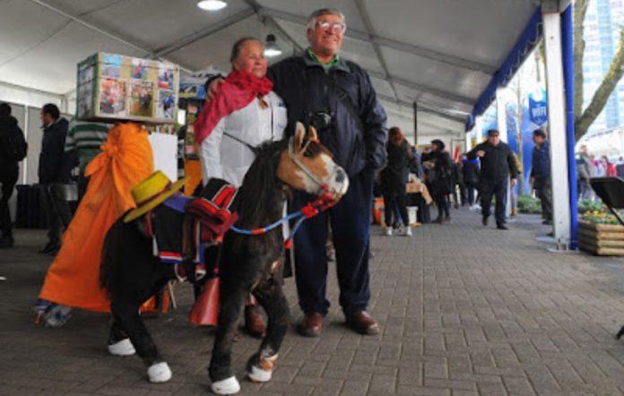 Concepción: Feria de la Identidad Penquista busca rescatar el patrimonio local