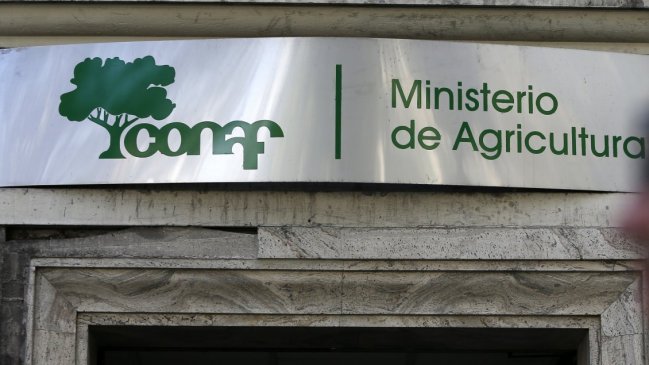 Conaf: Auditoría detectó irregularidades y gastos sin financiamiento por $26.114 millones