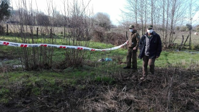 Ñuble: Encuentran muerto a adulto mayor que estaba extraviado en Yungay