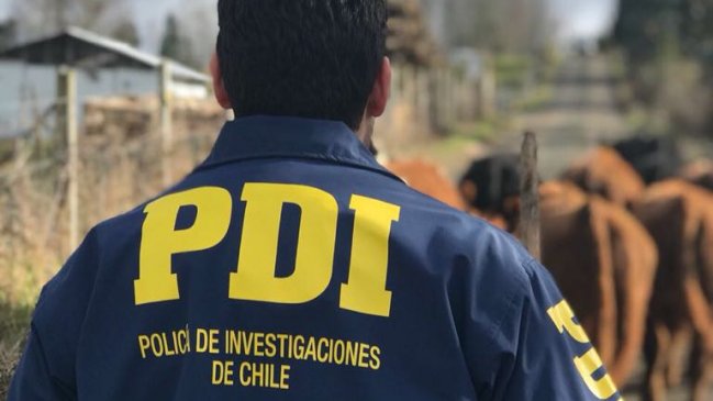 Osorno: Atrapan a cuatreros con arreo bobino, alimentos y equipos para alimentar animales