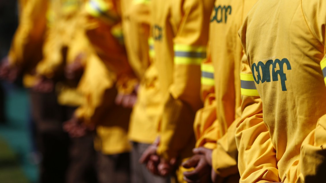 Ex director de Conaf ante acusaciones de irregularidades: Hay uso malicioso de la información