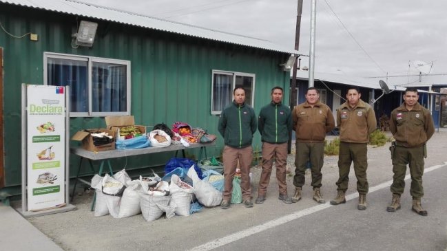 Parinacota: Descubren 430 kilos de productos agrícolas de contrabando en Visviri