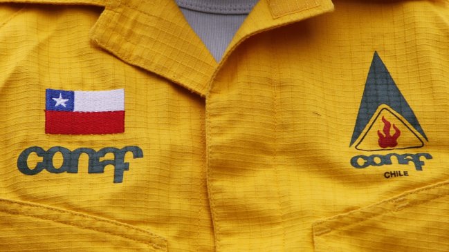 Conaf mantiene su mayor deuda con una empresa del grupo Matte