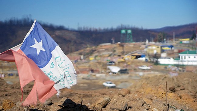 Levantemos Chile y Reforestemos se unen para reconstrucción de la Región del Maule