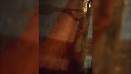   Movimiento Social Patriota manchó la Alameda con 