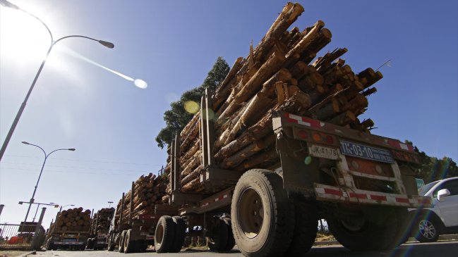 Gobierno destacó inicio de proyecto forestal del Grupo Angelini en Arauco