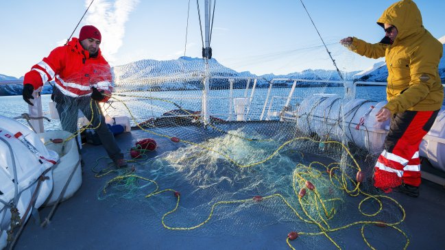 Científicos realizaron uno de los muestreos oceanográficos más extensos en Magallanes