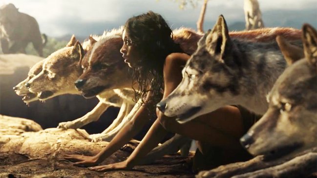 Netflix distribuirá 