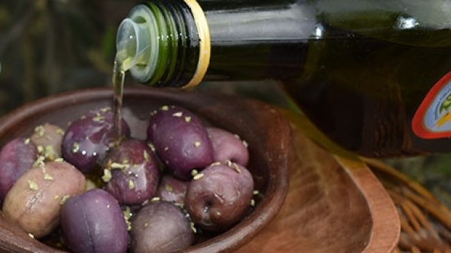 Arica: Seminario pondrá a prueba a los mejores aceites de oliva de Sudamérica