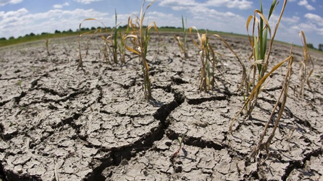 Países centroamericanos piden ayuda internacional por grave sequía