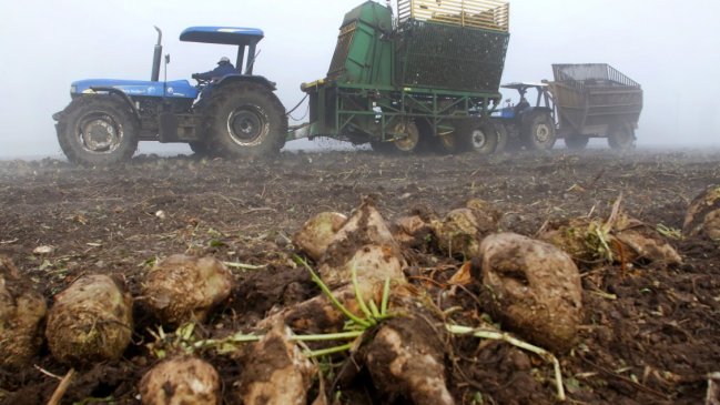 Agricultores de La Araucanía respaldaron a productores de remolacha por cierre de Iansa