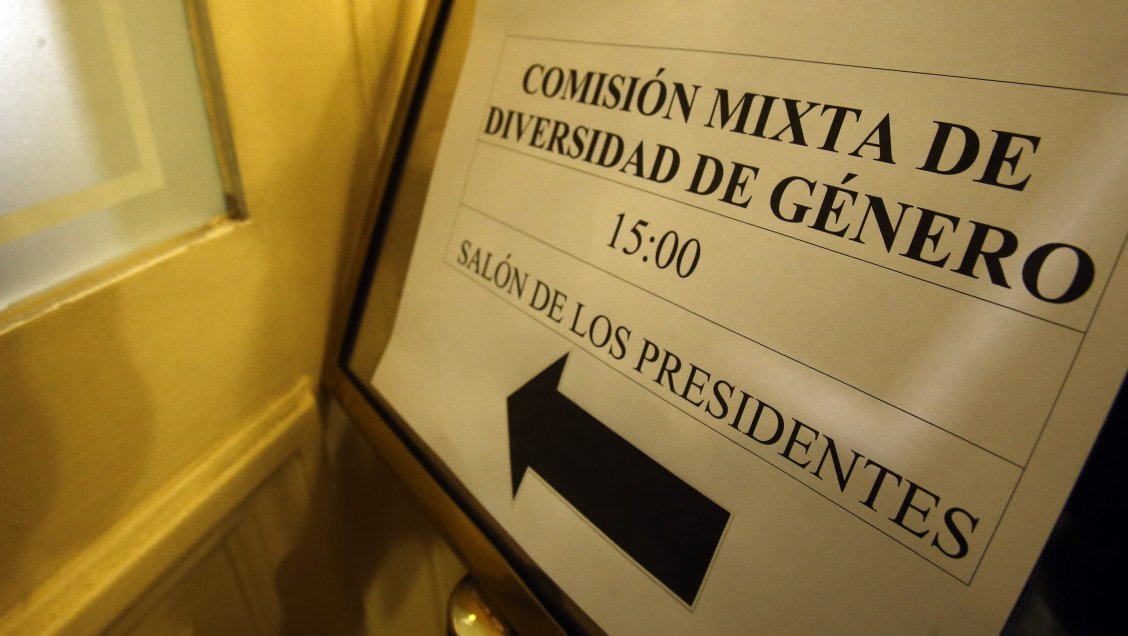 Ley de Identidad de Género pasó la comisión mixta: Incluye a todos los menores de edad