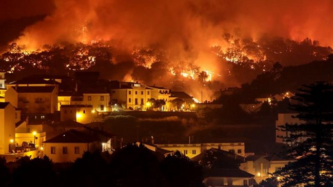 Portugal: Incendio forestal dejó 15 mil hectáreas quemadas