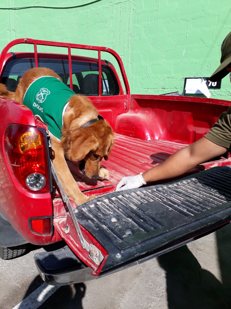 Imagen foto_00000016