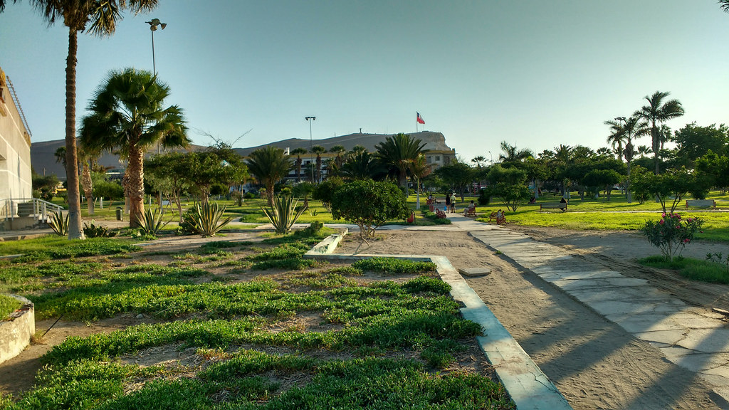 Empresa a cargo de las áreas verdes de Arica no llegó a acuerdo con la Municipalidad