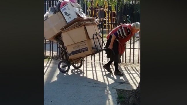 Abuelita de 81 años que recoge pesada carga de cartones conmovió a internet
