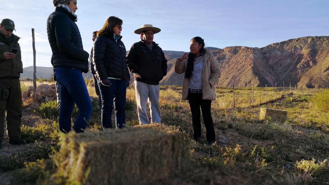 Municipios de Arica y Parinacota fueron beneficiados con fondos para mejoramiento