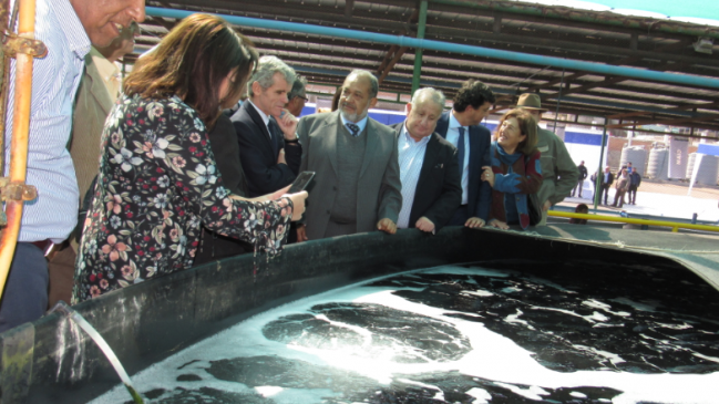 Imagen foto_00000003