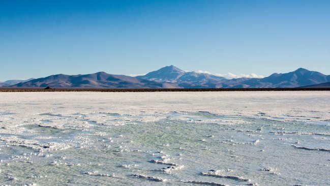 Atacama: Realizarán consulta ciudadana por proyecto minero en Salar de Maricunga