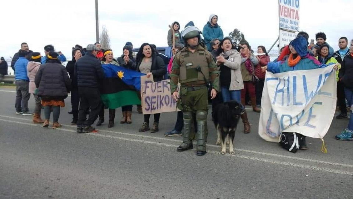 Evalúan descargar en Calbuco los salmones descompuestos que mantiene el buque 