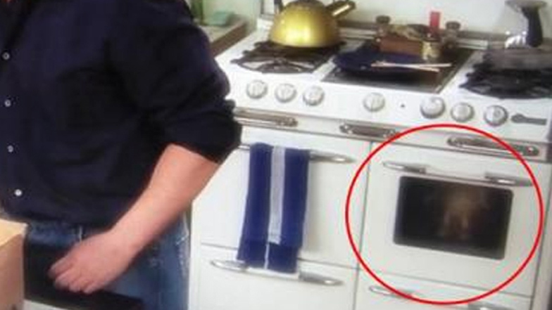 Imagen foto_00000016