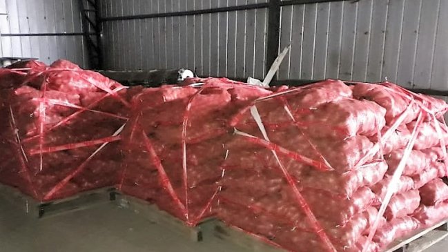 SAG decomisó cinco toneladas de papas en la Región de Los Lagos