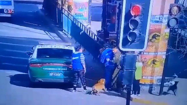 ONG presentó querella contra carabinero que mató a un perro en Quilicura