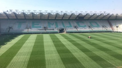   Así está la cancha del Estadio 
