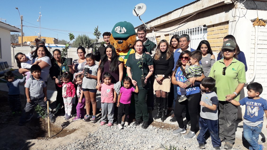 Convenio busca arborizar Provincia del Tamarugal