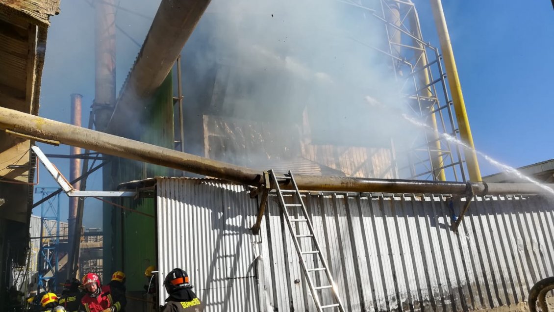 San Pedro de la Paz: 80 voluntarios combatieron incendio en aserradero