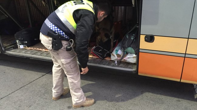 PDI de Los Ríos incautó marihuana y cocaína a cinco pasajeros de buses interprovinciales