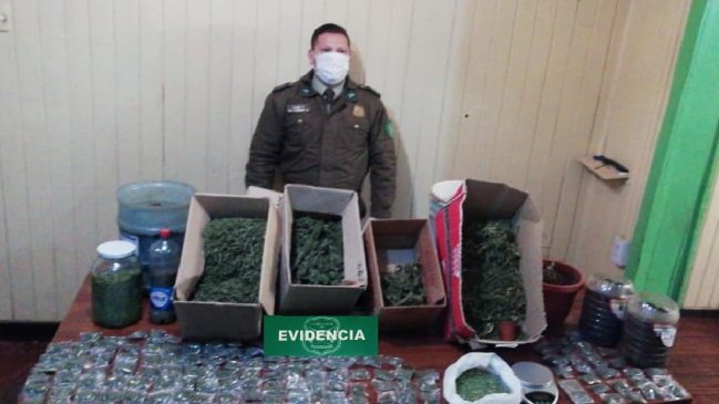 Detienen a imputado de vender marihuana a estudiantes en Lumaco