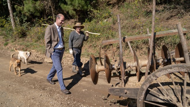 Los desafíos de la nueva Región de Ñuble tras quedar como la segunda zona más pobre de Chile