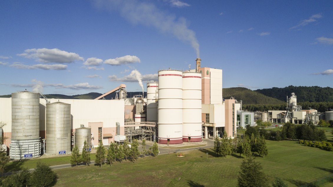 Inspeccionarán planta de Celulosa Arauco en Mariquina tras presentar reclamación en el Tribunal Ambiental