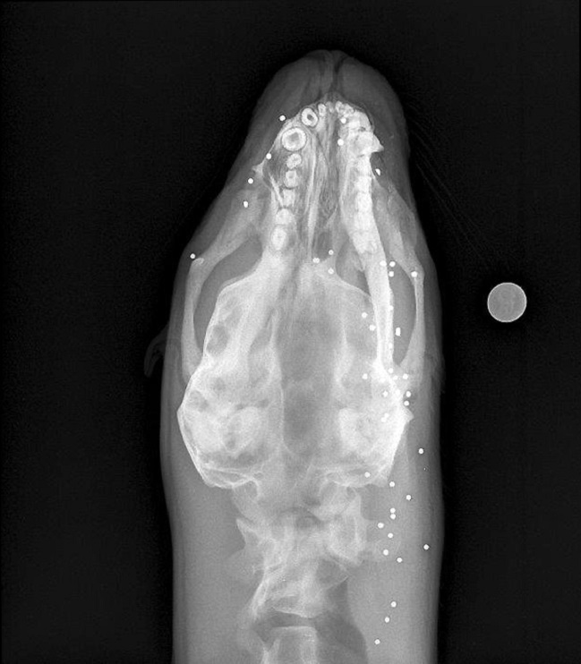 Imagen foto_00000015