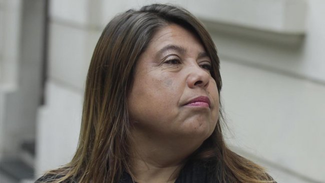 Diputada Claudia Mix: 