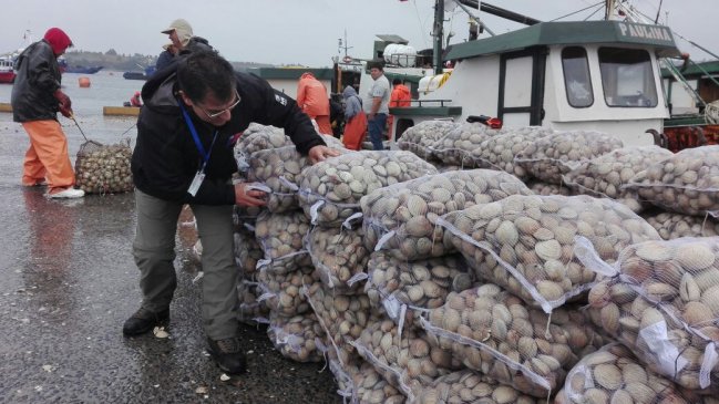Autoridad sanitaria de Los Lagos ha efectuado 34 decomisos de mariscos con marea roja