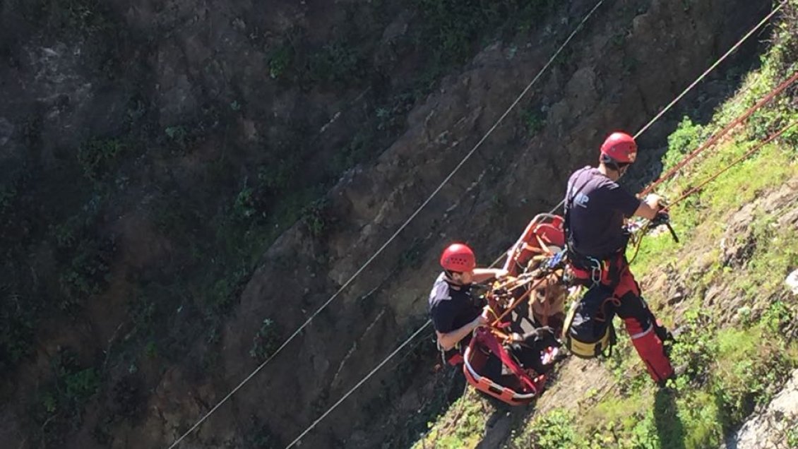 Bomberos de Valparaíso rescató a tres perros desde acantilado