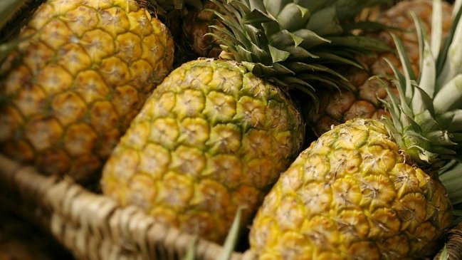 Policía española incautó 67 kilos de cocaína transportadas al interior de piñas