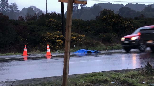 Un fallecido dejó atropello en transitada ruta Puerto Montt - Alerce
