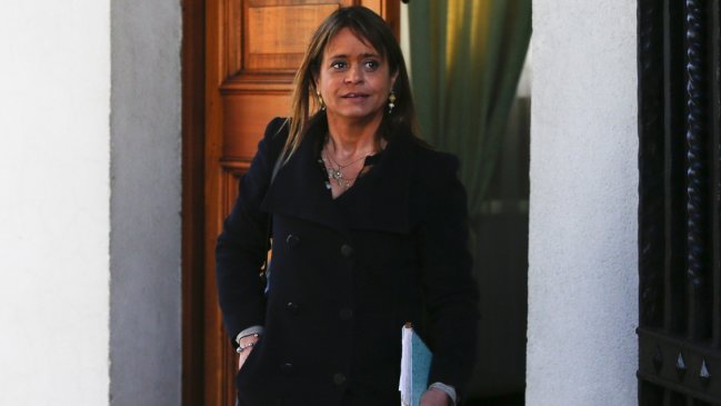 Van Rysselberghe critica programa de La Reina para enseñar uso de armas: 