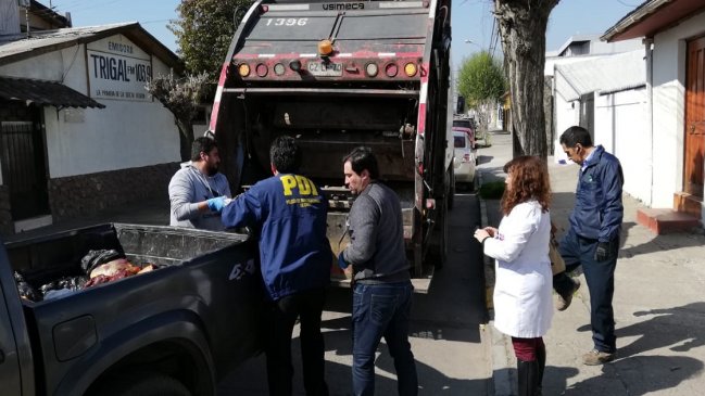 Seremi de Salud y PDI incautaron 400 kilos de carne en Chimbarongo