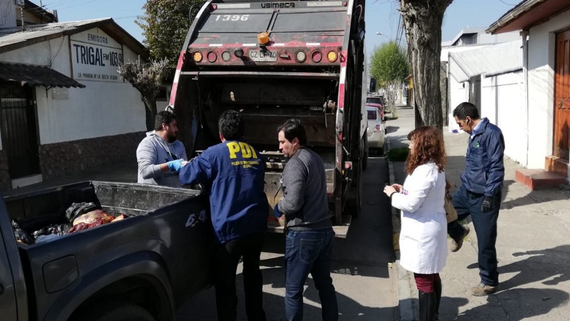 Seremi de Salud y PDI incautaron 400 kilos de carne en Chimbarongo