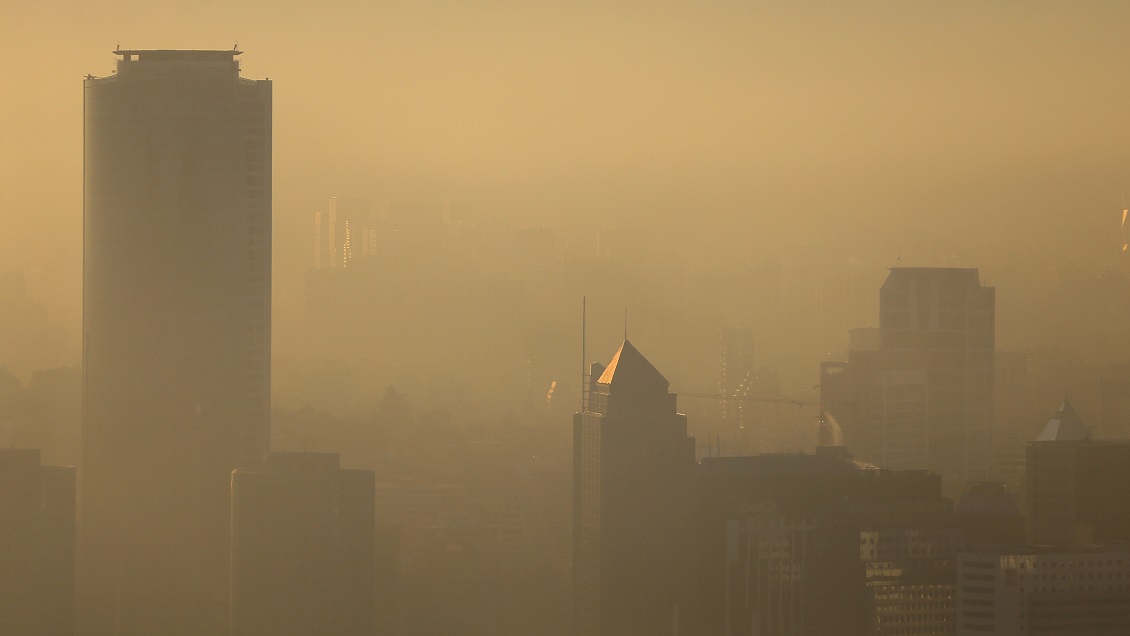 La contaminación está provocando una gran reducción de la inteligencia